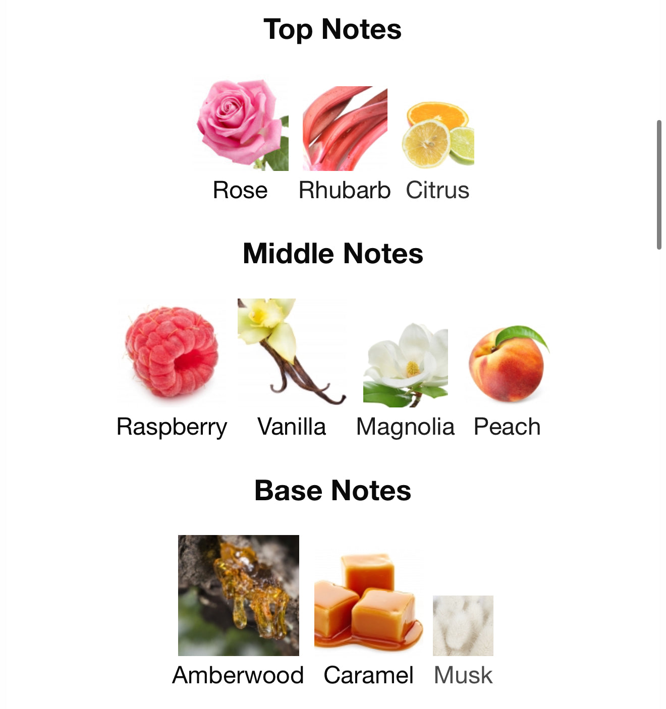 Rua Extrait De Parfum 100ml