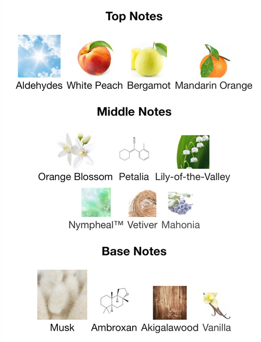 MYSTIQUE BOUQUET by AFNAN 100ml