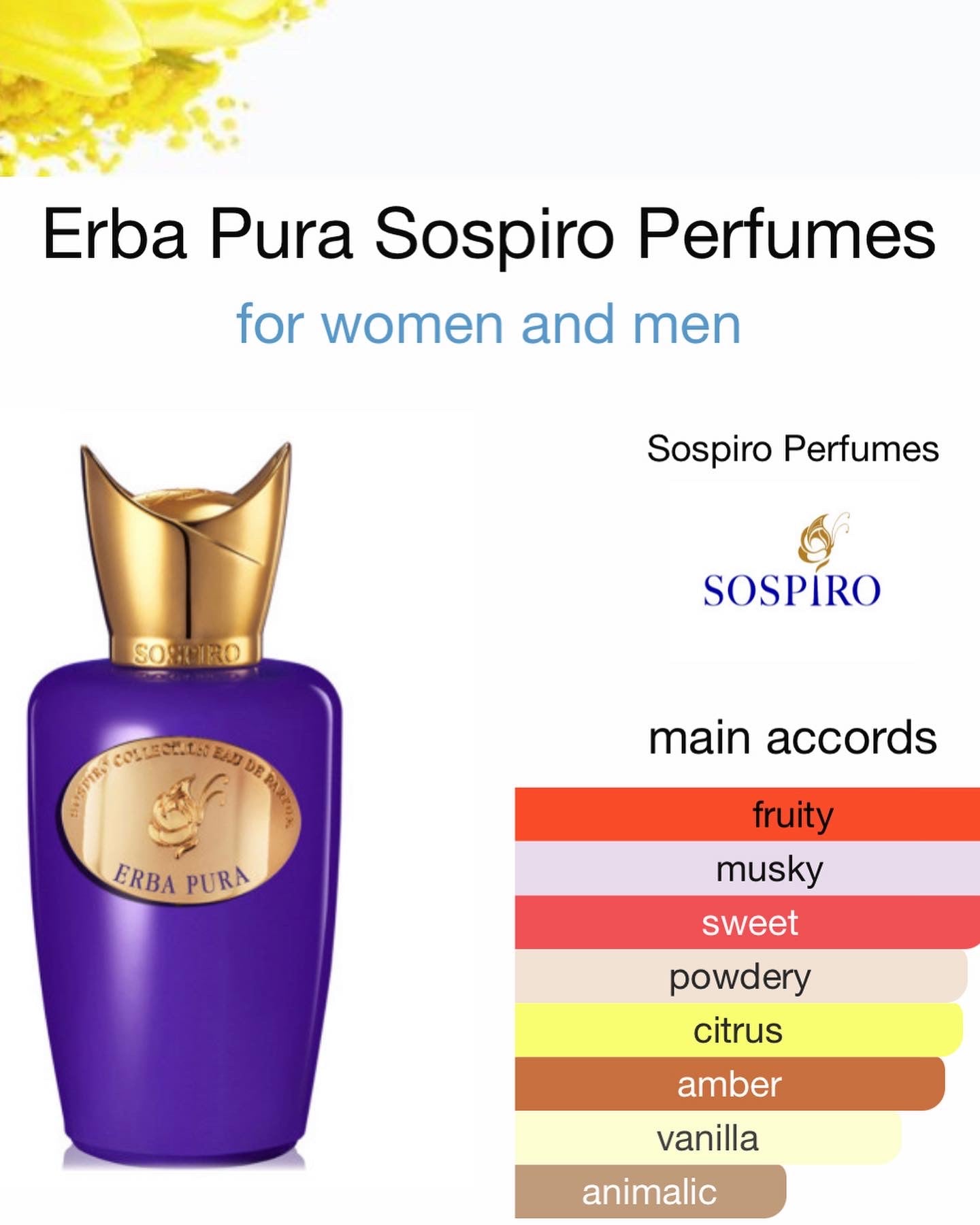 PHILOS PURA 100ml by Maison Alhambra