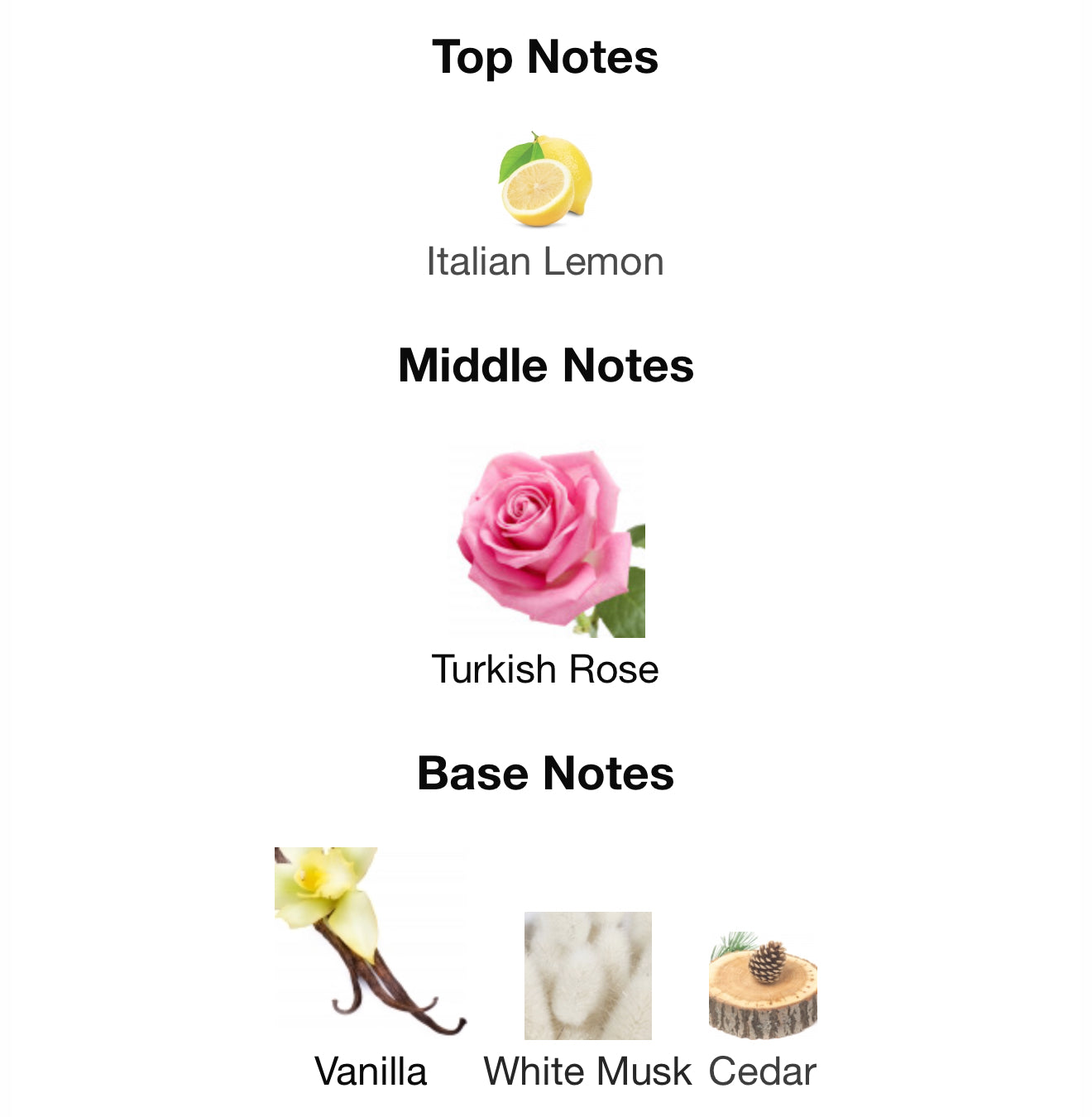 Emir Vanilla and Roses 75ML