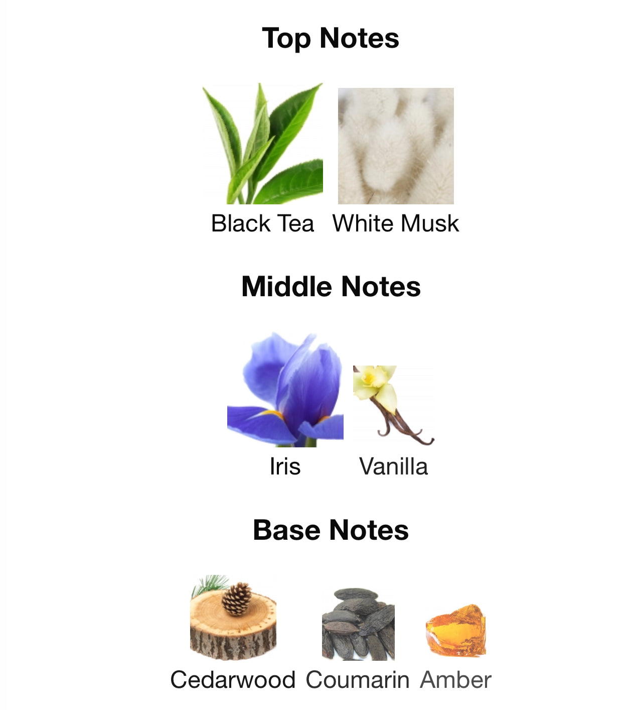 Velvet Musk 100ml Lattafa