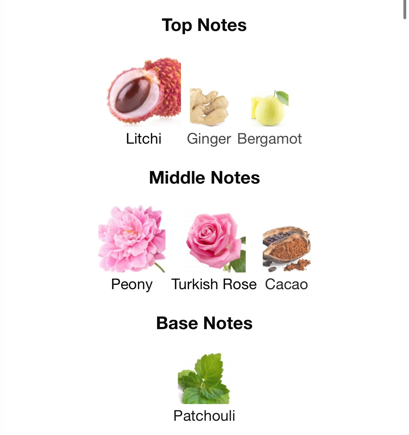 Rayhaan Divine EDP Unisex 100 ml